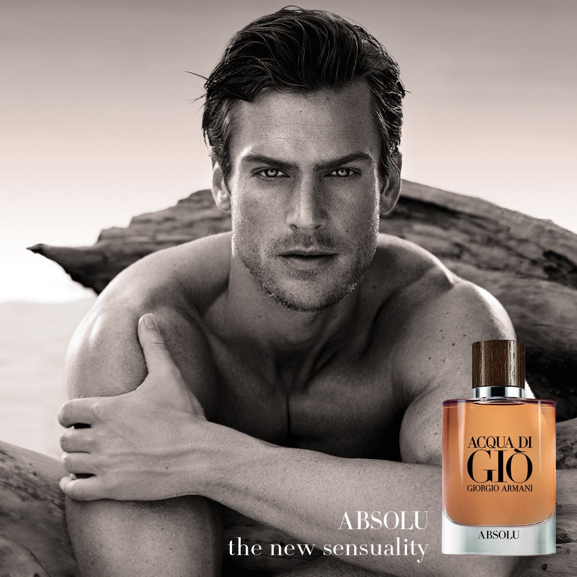 CoqCreative power by ProductionLink s.r.l. Acqua-Di-Gio-Armani Acqua-Di-Gio-Armani  Acqua-Di-Gio-Armani